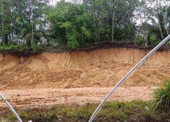 Diduga Menggunakan Tanah Timbunan Ilegal di Pekerjaan Peningkatan Jalan Peniti – Seguri Sekadau