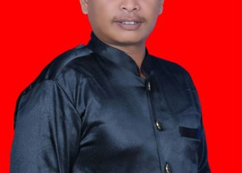 Syafarahman Ketua Umum Lumbung Informasi Masyarakat Beri Peringatan Dini Terhadap Pemangku Kepentingan Di Kalbar