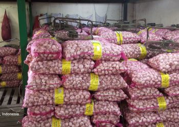 Diduga Pasok Bawang Ilegal, Bos JN Malah Pertanyakan Tugas LSM Dan Pers