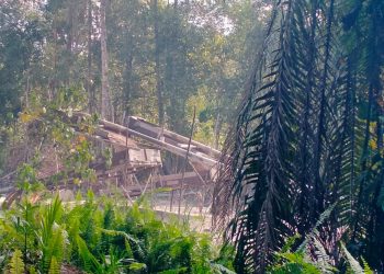 Dugaan Penyalahgunaan BBM Subsidi untuk Tambang Ilegal di Sekadau, Negara Dirugikan!,