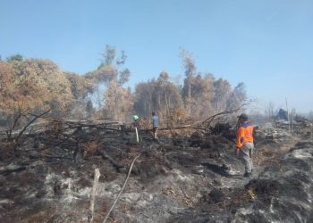 Karhutla Didesa Kubu Padi Diduga Sengaja Dibakar Oleh  Oknum Masyarakat Hingga Menyebabkan Kebakaran