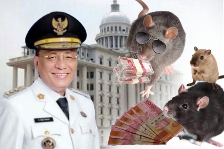 Miris..!! Kursi Jabatan BPKAD, DPMPTSP Diduga Akan Segera di Isi Kerabat Bupati