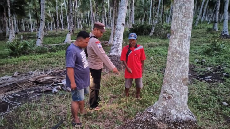Warga Desa Padang Tikar Dihebohkan Penemuan Bayi Ditengah Kebun Kelapa Diduga Hasil Hubungan Gelap