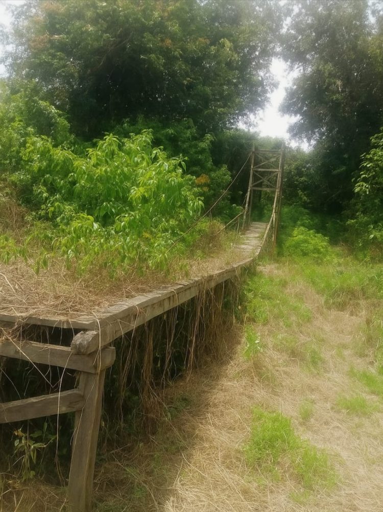 Diduga Nasip Jembatan Gantung Mangkrak Di Desa Nanga Nyabau Kini Jadi Sorotan Publik.