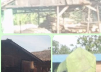 Tak Terima Di Investigasi, Pemilik Usaha Caci Awak Media dan LSM