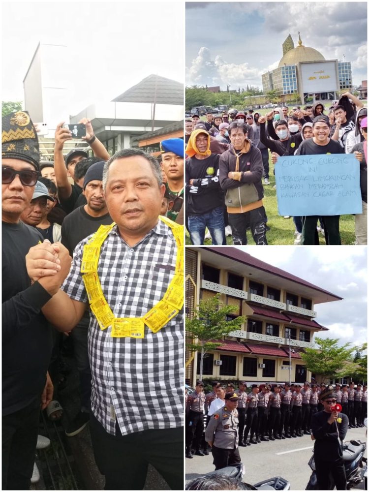 Cukong Oil Palsu Tidak di Tahan Ada Perbedaan Dengan Maling Ayam