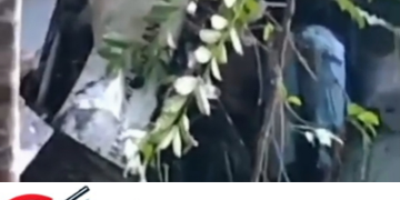 Helikopter PK-CFX Ditemukan Jatuh di Perbukitan Nanga Taman, Tim Lakukan Evakuasi