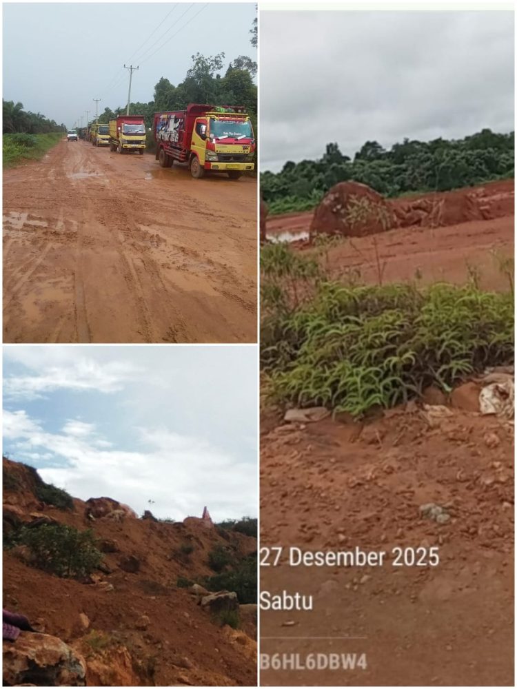 Hutan Gunung Tamang di Kabupaten Kubu Raya terancam gundul akibat aktivitas Tambang galian C untuk penimbunan jalan perkebunan kelapa sawit PT gaharu prima lestari