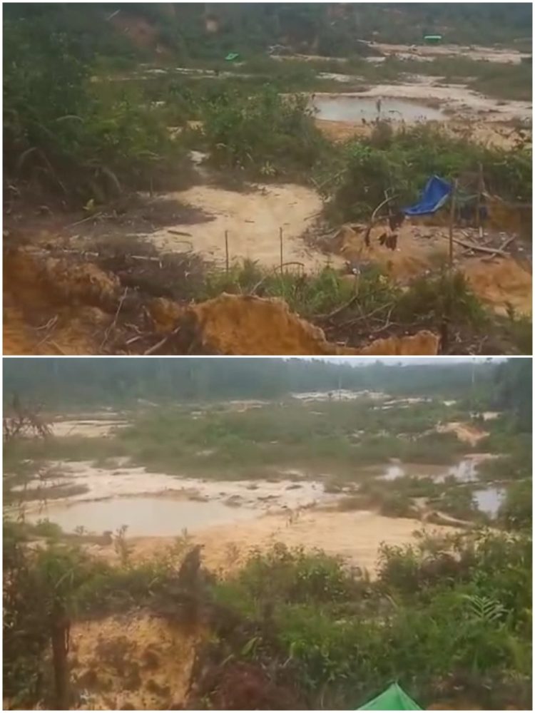 Tambang Emas Ilegal Marak di Bukit Batu Sejiram, Warga Duga Ada Pembiaran